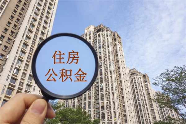 柳林14年公积金多少钱（柳林14年公积金利率是多少）
